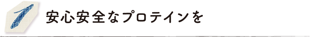 安心安全なプロテインを