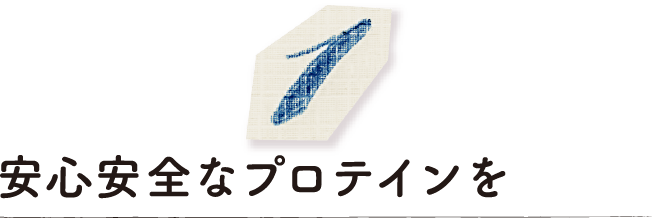 安心安全なプロテインを