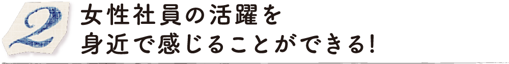 女性社員の活躍を身近で感じることができる！